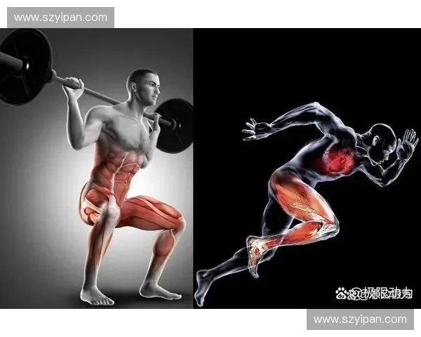 进阶力量杠训练全攻略 提升肌力与运动表现的终极指南